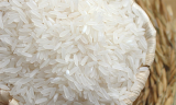 Basmati Rice_ Jasmine Rice_ Long Grain Rice_ Japonica Rice 